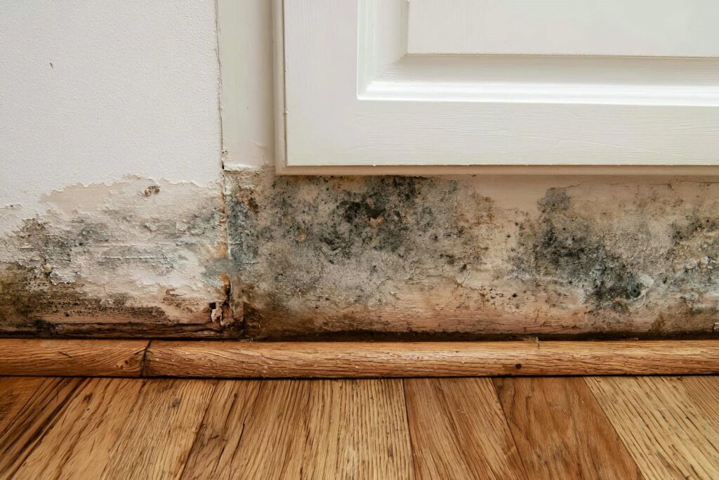 Mold and water damage on the lower part of a white wall and wooden floor trim.
