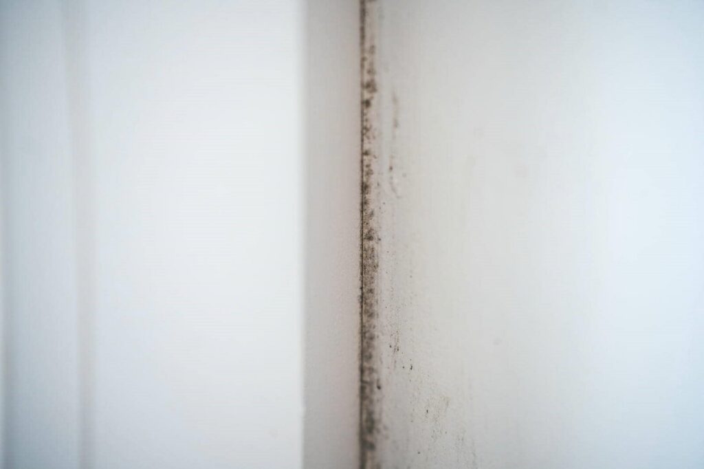 Close-up of mold growing along the corner of two white walls.