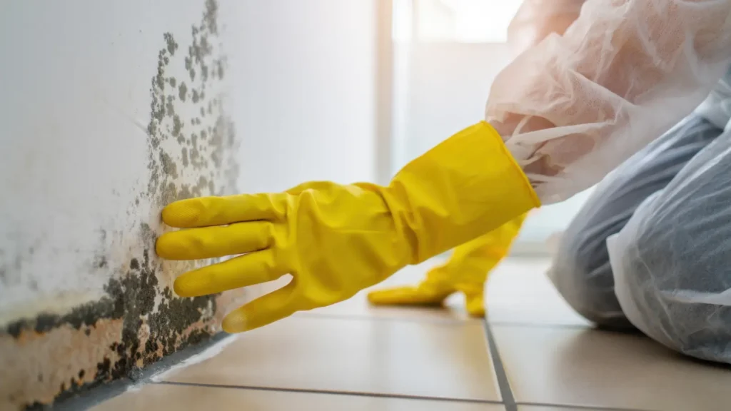 Lake Orion, MI Mold Inspection