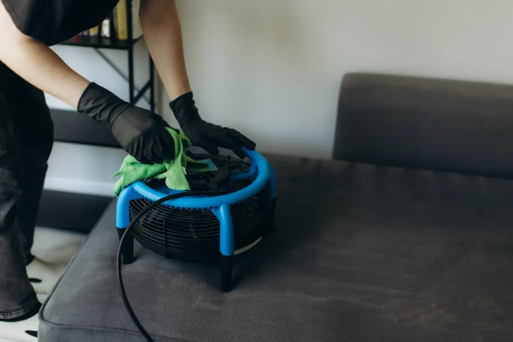 Oxford, MI Carpet Upholstery Cleaning