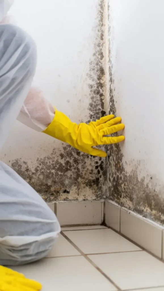 Rochester Hills, MI Mold Inspection