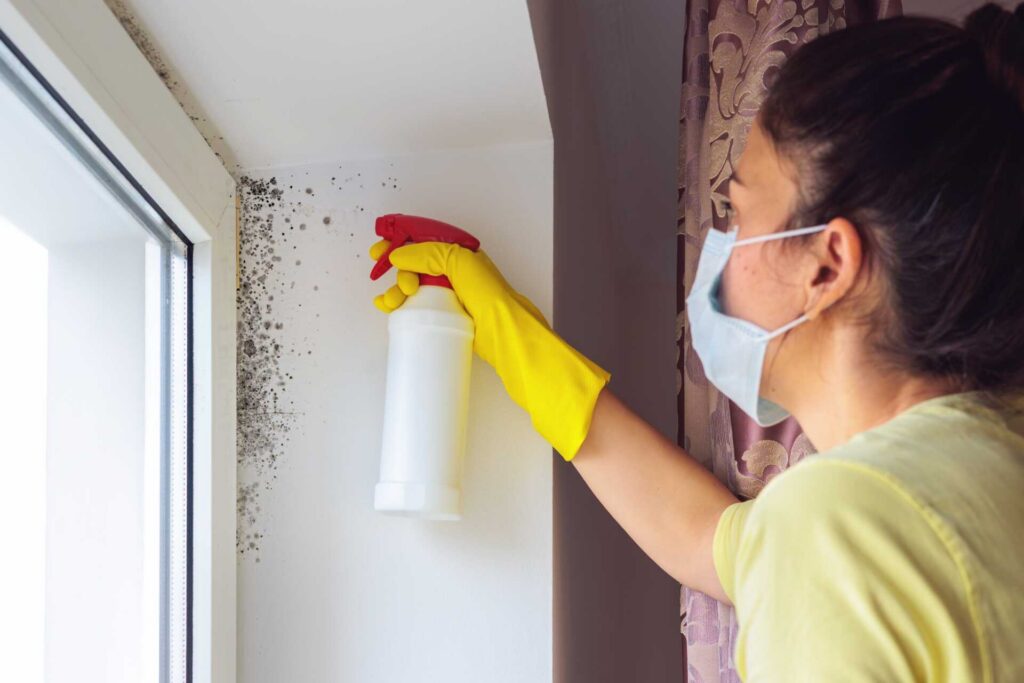 Why Choose Professional Black Mold Removal Techniques