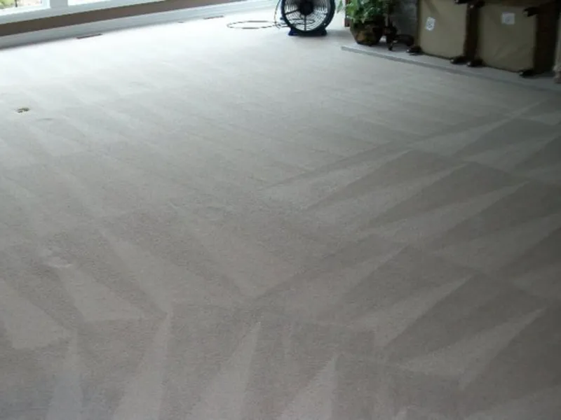 Clean beige carpet with visible vacuum lines in a room with a fan and storage bins in the background.