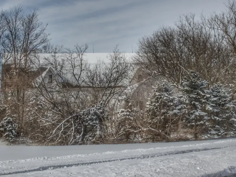 Snow-covered trees and a house partially visible behind them on a cloudy winter day.