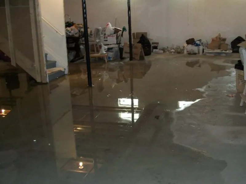 Basement floor partially flooded with standing water and scattered storage items.